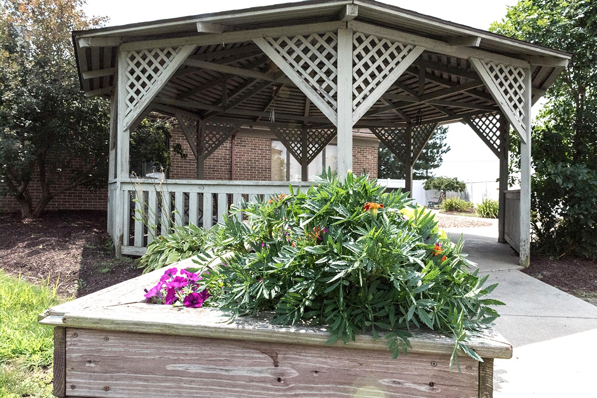 A gazebo outside of Unger Park Post Acute